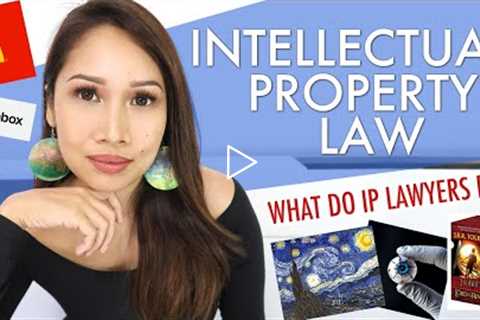 Lawyer Secrets: WHAT DOES AN INTELLECTUAL PROPERTY LAWYER DO EXACTLY??