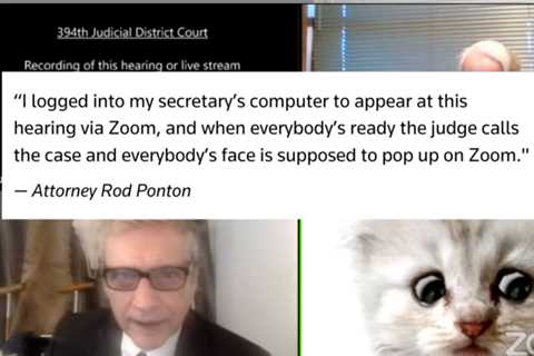 Lawyer Who Was a Cat on Zoom Call