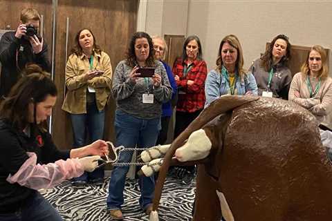 Thankful for my sisters in agriculture