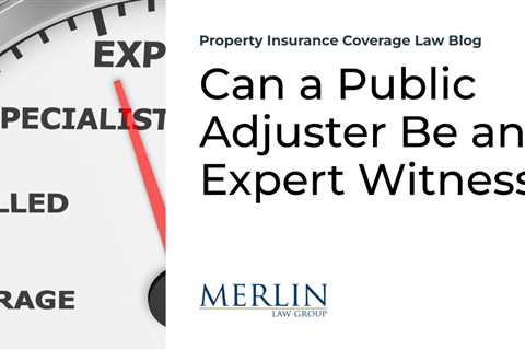 Can a Public Adjuster Be an Expert Witness?