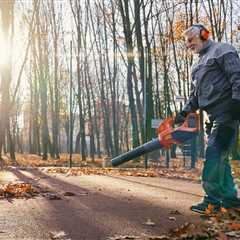 THE DANGERS OF NOT HIRING LICENSED AND INSURED TREE SERVICE COMPANIES