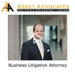 Business Litigation Attorney - Asset Advocates Real Estate and Contract Lawyers