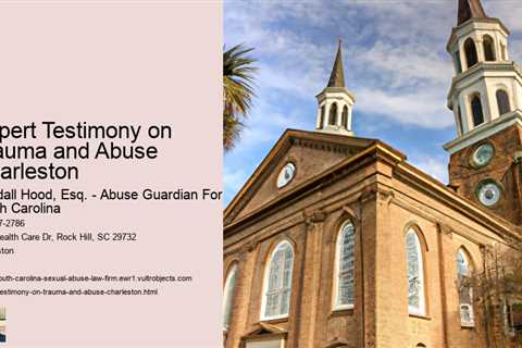 Expert Testimony on Trauma and Abuse Charleston