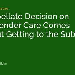 An Appellate Decision on Transgender Care Comes Without Getting to the Substance