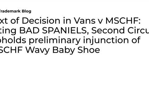 Text of Decision in Vans v MSCHF: Citing BAD SPANIELS, Second Circuit upholds preliminary..