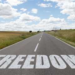 Maximizing Business Opportunities with a Robust Freedom-to-Operate Opinion