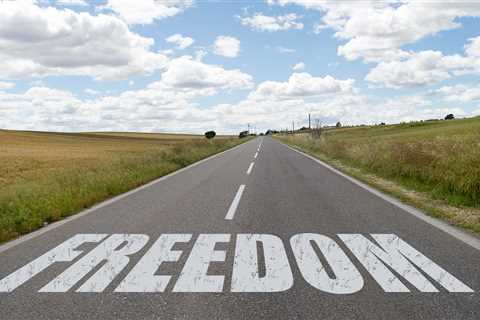 Maximizing Business Opportunities with a Robust Freedom-to-Operate Opinion