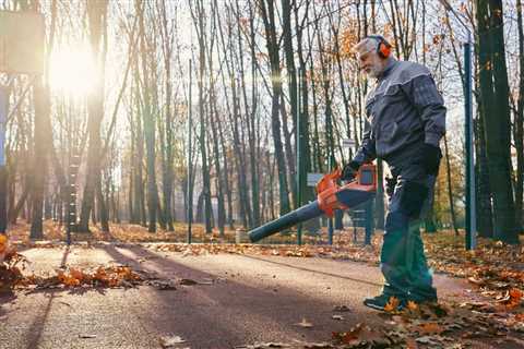 How Long Does Tree Removal Take?