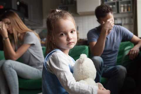 Child Arrangement Essentials in Cairns: What Families Need to Know - Jacksonville Federal Bar..