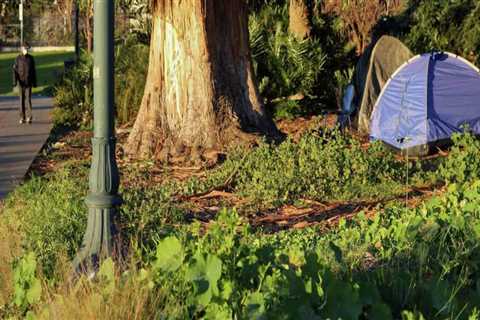 Addressing High Rates of Homelessness Among Women in Contra Costa County, California