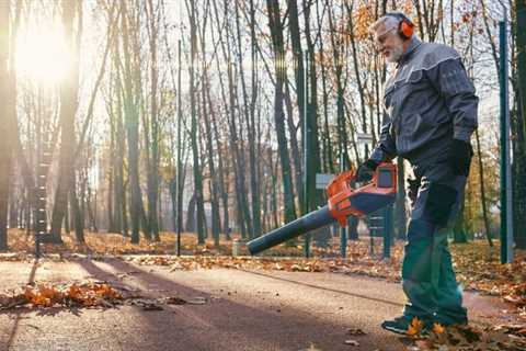 Tree Removal: What to Avoid?