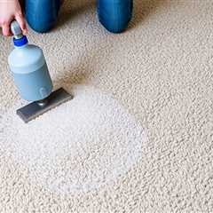 Carpet Cleaning After Care
