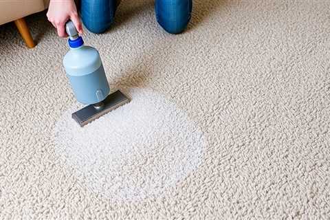 Carpet Cleaning After Care