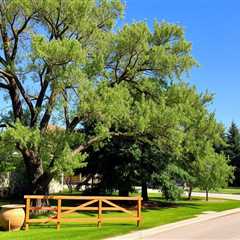 Considerations To Know About Tree Removal Salt Lake County Utah