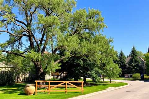 Considerations To Know About Tree Removal Salt Lake County Utah
