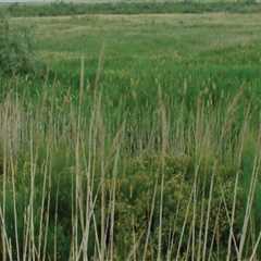 The Intersection of Human Rights and Environmental Justice in Northern Utah