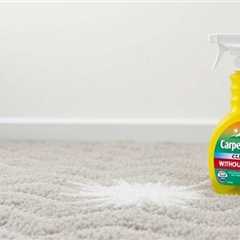 Carpet Cleaner Without Bleach
