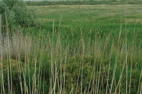 The Intersection of Human Rights and Environmental Justice in Northern Utah