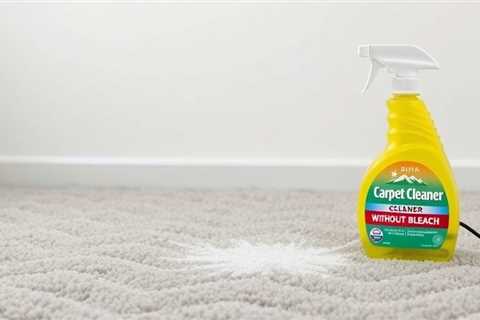 Carpet Cleaner Without Bleach