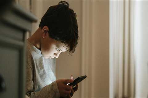 The Impact of Social Media on Bullying Awareness in Northern Utah: An Expert's Perspective