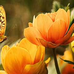 New blog lisav627trp1.blogaritma.com