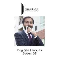 Dog Bite Lawsuits Dover, DE - The Sharma Law Firm
