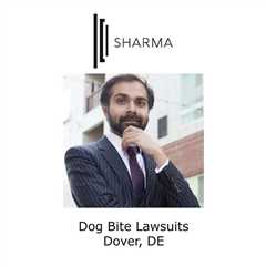 Dog Bite Lawsuits Dover, DE - Sharma Law - Personal Injury Attorney