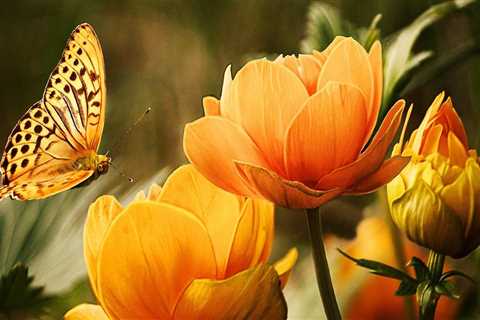 New blog lisav627trp1.blogaritma.com