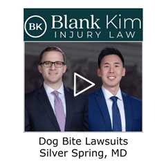 Dog Bite Lawsuits Silver Spring, MD - Blank Kim Injury Law