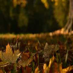 New blog erico306qon1.thechapblog.com