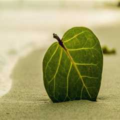 New blog mannersp406qqp2.liberty-blog.com