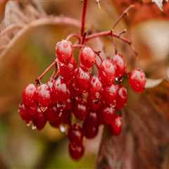 New blog williamh318chk1.ourcodeblog.com