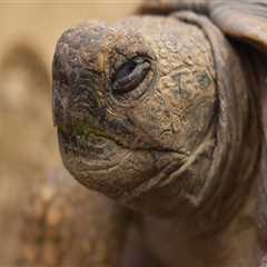 New blog robertov220qeo5.ssnblog.com