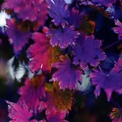 New blog annea219jsz8.blogmazing.com