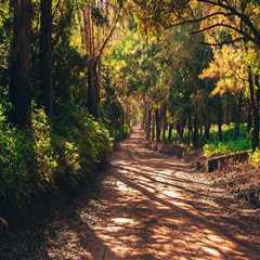 New blog hankd554ymy8.bloggazza.com