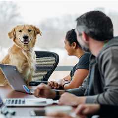 New blog bernardz119kud9.answerblogs.com