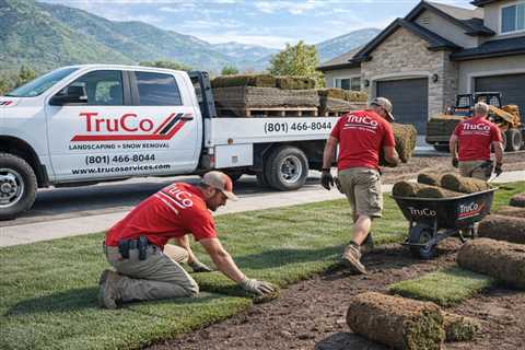 Provo Utah Sod Installation