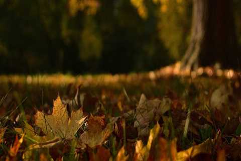 New blog erico306qon1.thechapblog.com