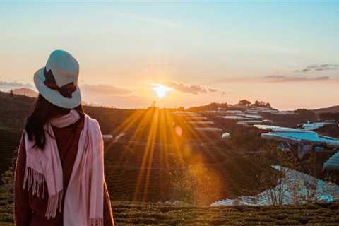 New blog lyndone962eec6.is-blog.com