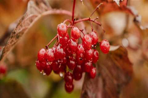 New blog williamh318chk1.ourcodeblog.com