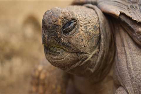 New blog robertov220qeo5.ssnblog.com