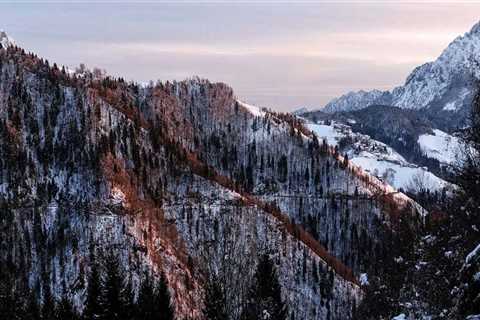 New blog thomasr753tck2.blazingblog.com