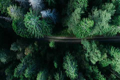 New blog henryl664amy8.boyblogguide.com