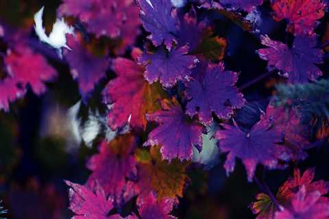 New blog annea219jsz8.blogmazing.com