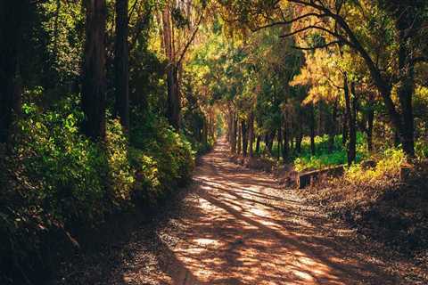 New blog hankd554ymy8.bloggazza.com