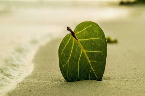 New blog harrym775bmw7.ltfblog.com