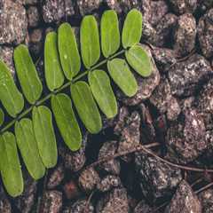 A Secret Weapon For commercial lawyer near me