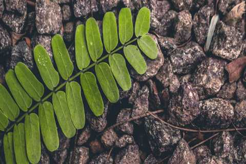 A Secret Weapon For commercial lawyer near me