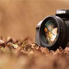 Not known Factual Statements About Trusts Lawyer