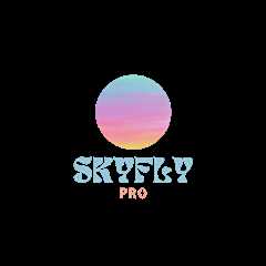 User: laurene caskey  - skyflypro.com | Elevating Travel with Smarter Solutions